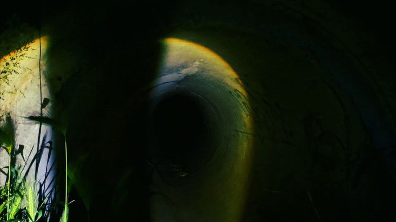 Imatge de shadows scare me