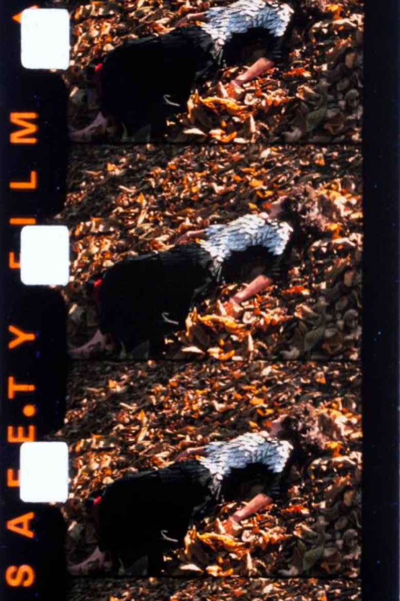 Imatge de Chutes de Maya