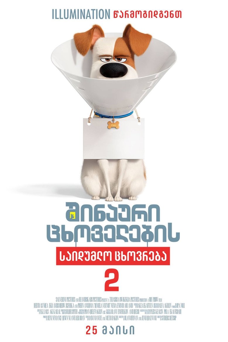 შინაური ცხოველების საიდუმლო ცხოვრება 2 (2019)