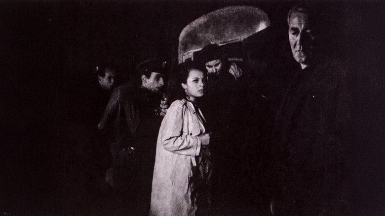 Gallery image from sbA2cWdBXh94NWrbxxUVwD1Uui4.jpg