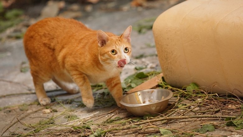 Gallery image from sbEOvZ4doGMzqXxDTj1ocGYjXyP.jpg