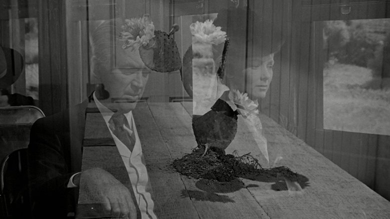 The Man Who Shot Liberty Valance (1962)
