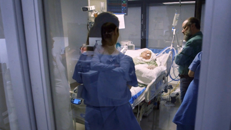 Katie's New Face: A Family's Journey