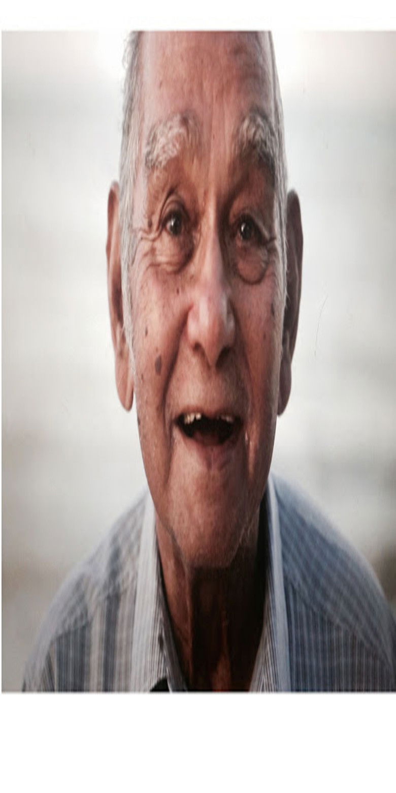 Imatge de A War of Hope