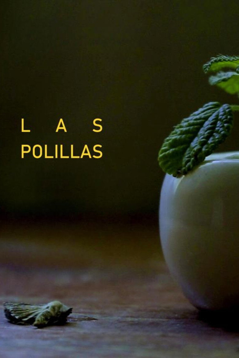 Imatge de Las Polillas