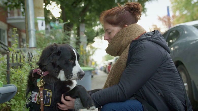 Still image for Les diplômés Mira season 1 episode 10: Episode 10 Still image for Les diplômés Mira season 1 episode 10: Episode 10