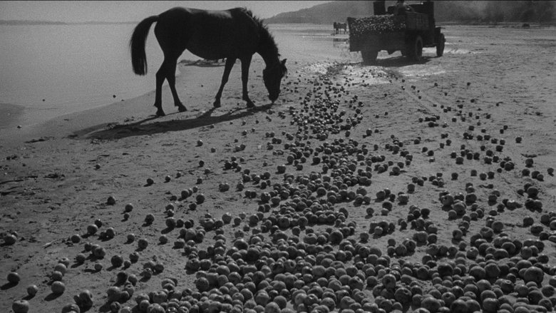 Ivan's Childhood (1962)