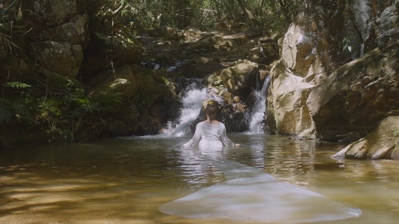 João-de-Barro (2025)