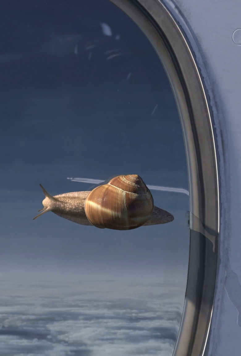 Imatge de 1 mètre/heure