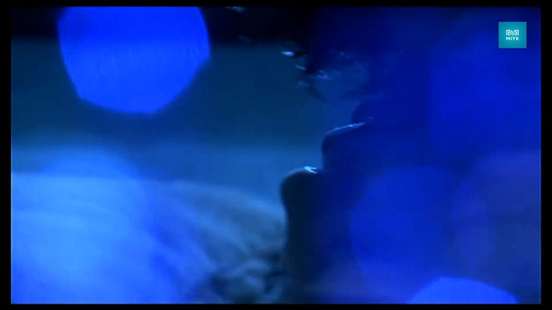 Gallery image from se0eM7xeWgY3lu7whADfQZOJao8.jpg