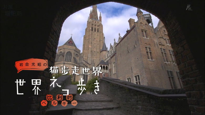 Still image for Mitsuaki Iwago's World “Cats” Travelogue season 1 episode 22: Belgium Still image for Mitsuaki Iwago's World “Cats” Travelogue season 1 episode 22: Belgium