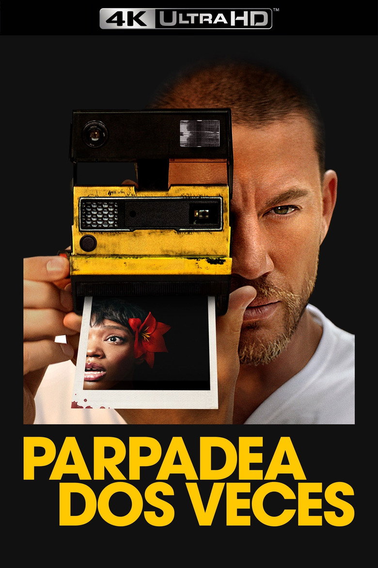 Póster la Película