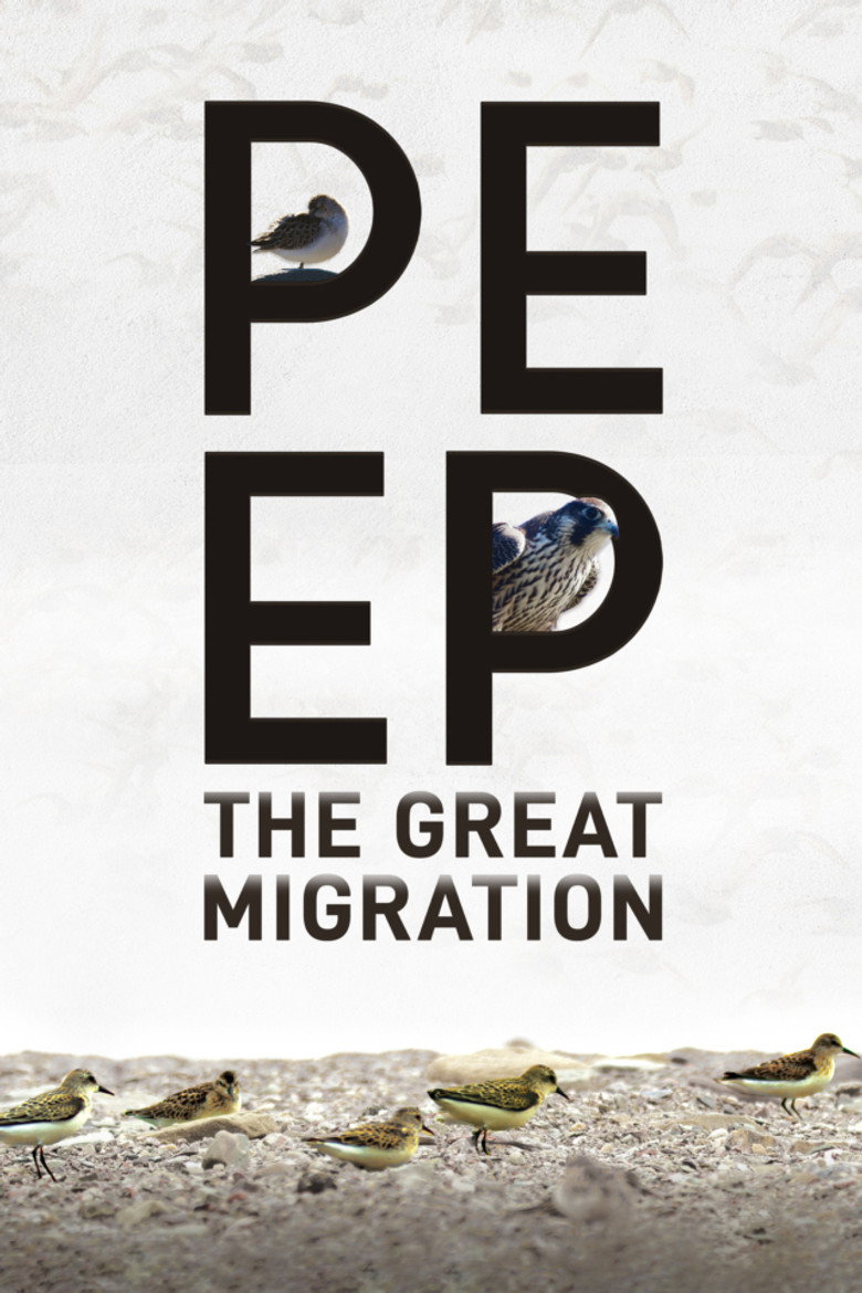 Peep: The Great Migration background