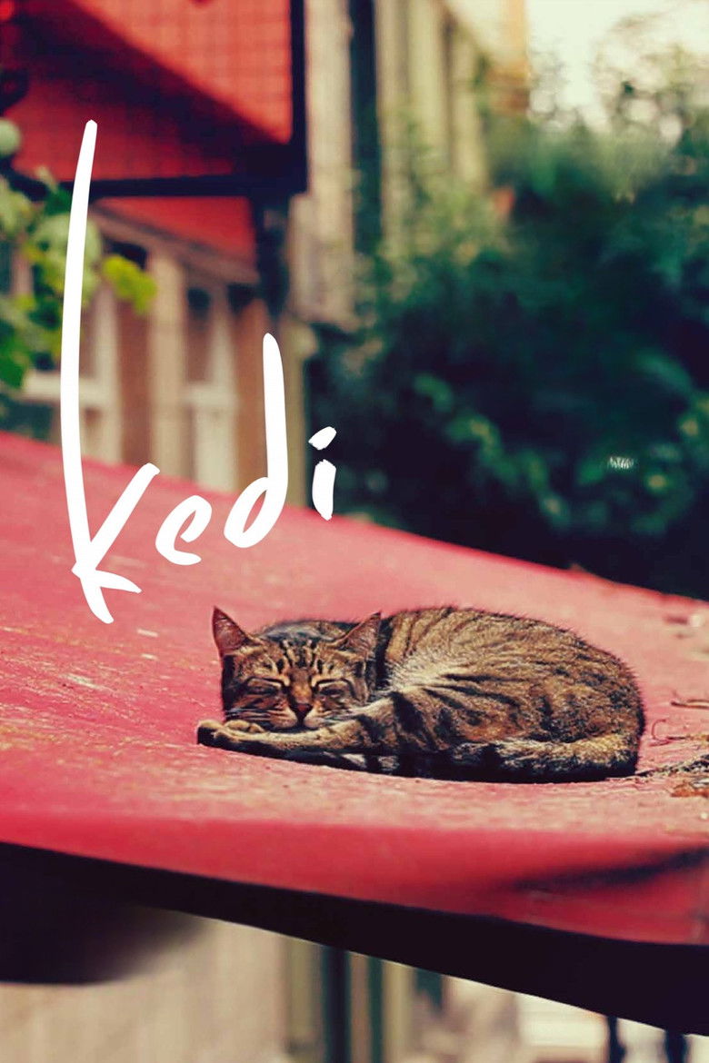 Imatge de Kedi