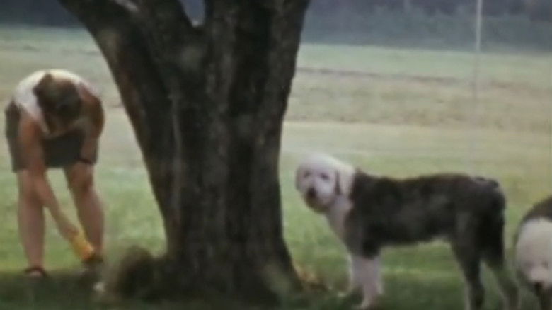 Gallery image from sgcncqcXwJXQBromUlH1aCnuWwZ.jpg