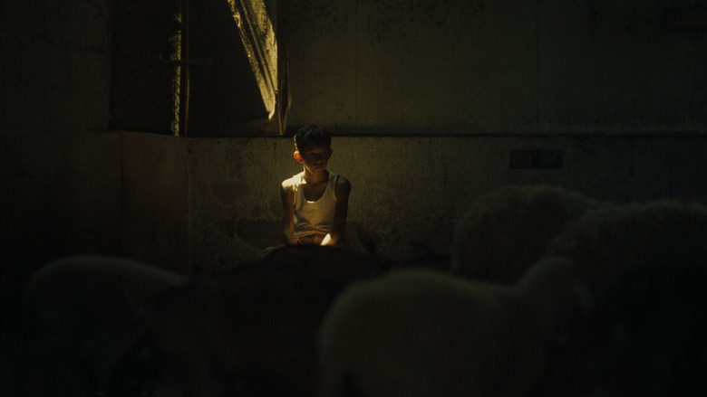 Imatge de I fiori non hanno le scarpe