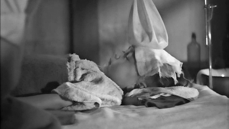 Shncjtimyynaodqaevbbwzsyt9z