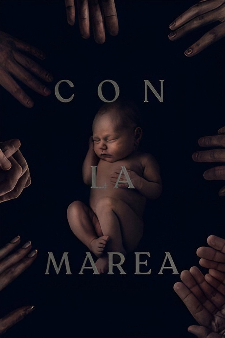 Póster la Película