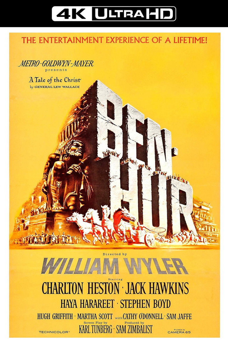 Póster la Película