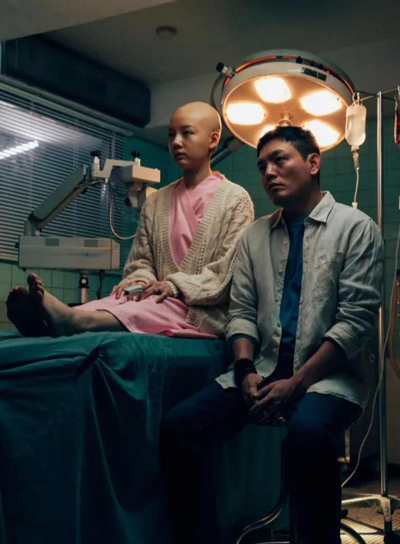 Imatge de 所有人都在死