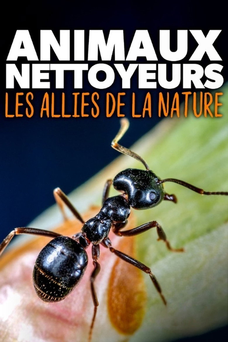Affiche de ANIMAUX NETTOYEURS, LES ALLIÉS DE LA NATURE