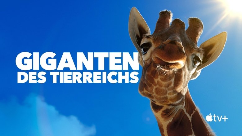 Gallery image from sj88M7vP1jYwhO0N8a32LYoD1sJ.jpg