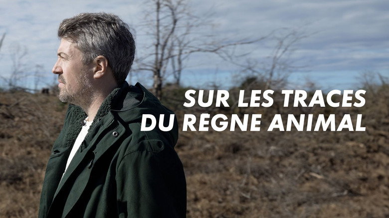 Gallery image from sjA3sqbelWov1woOwZjlhf6azLP.jpg