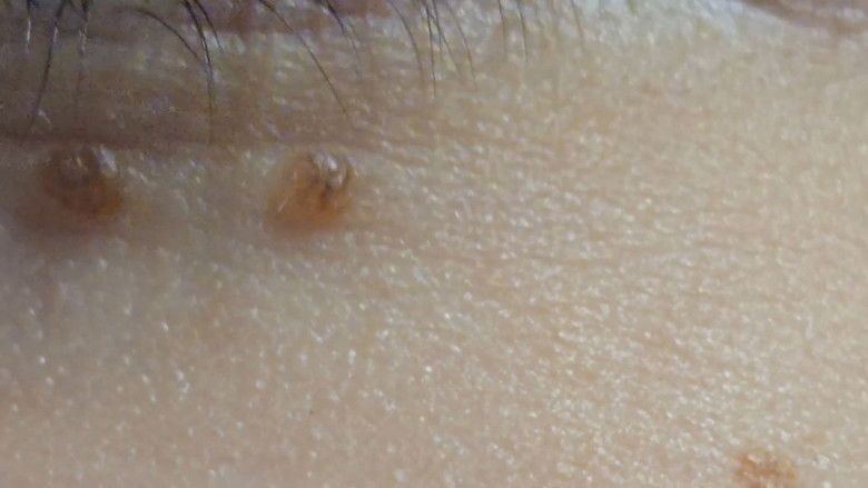 Gallery image from sjGd5o4TXsAIEe7EhEO7GBgOOvC.jpg