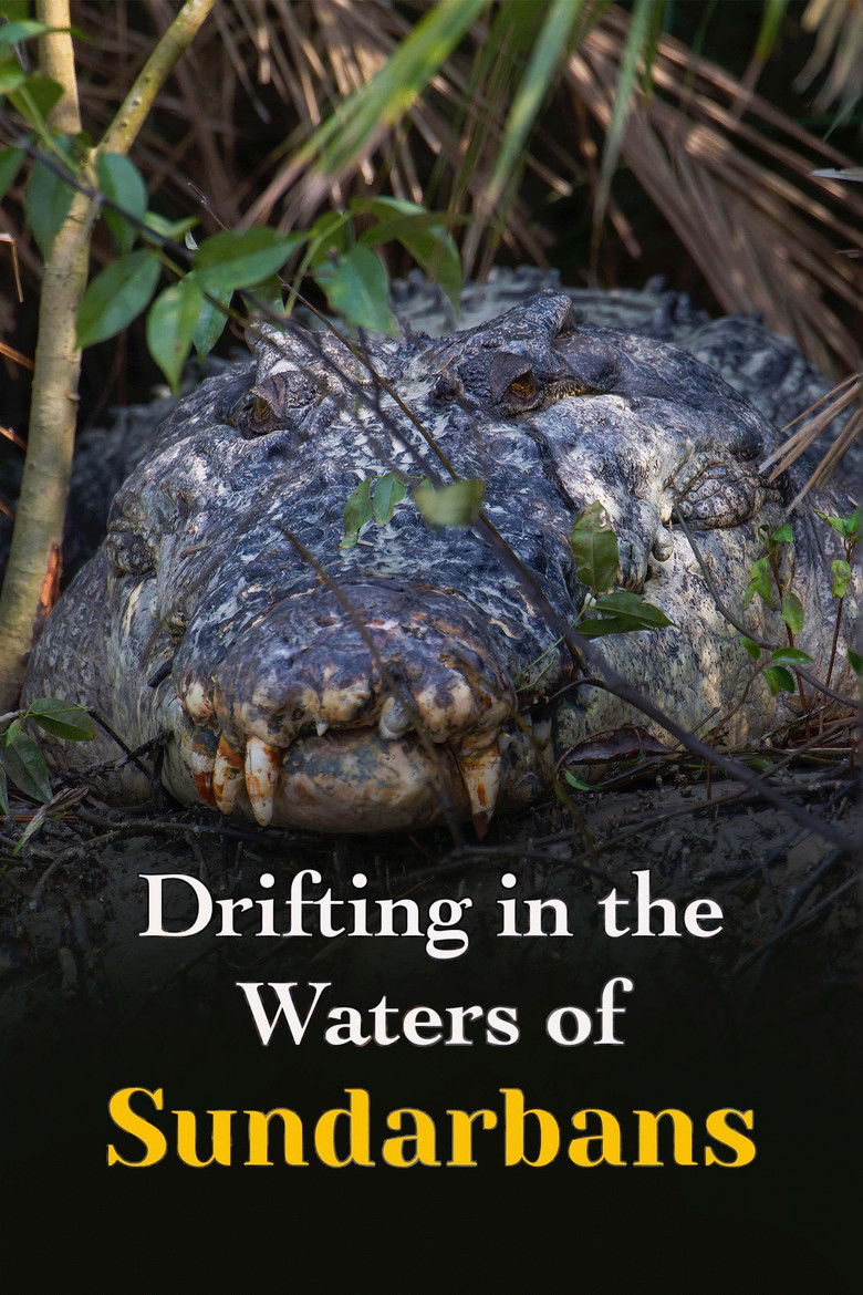 Imatge de Drifting in the Waters of Sundarbans