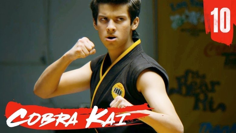 Cobra Kai Saison 1 Streaming