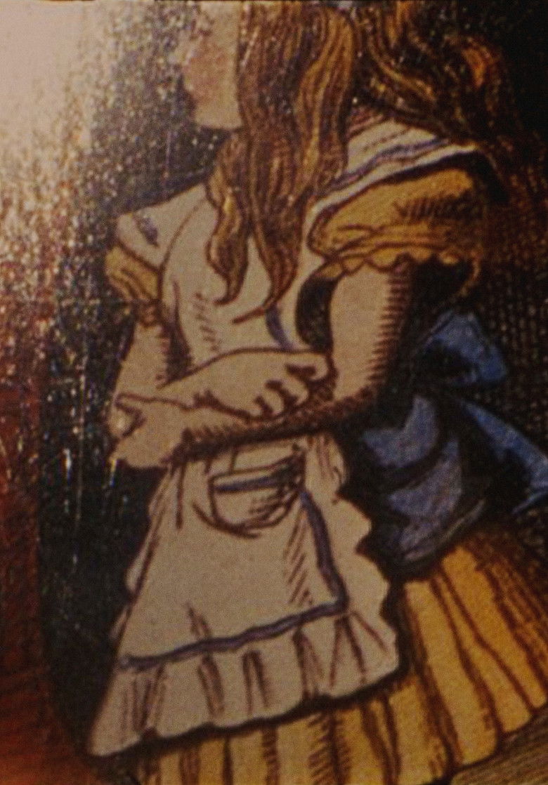 Imatge de Curious Light