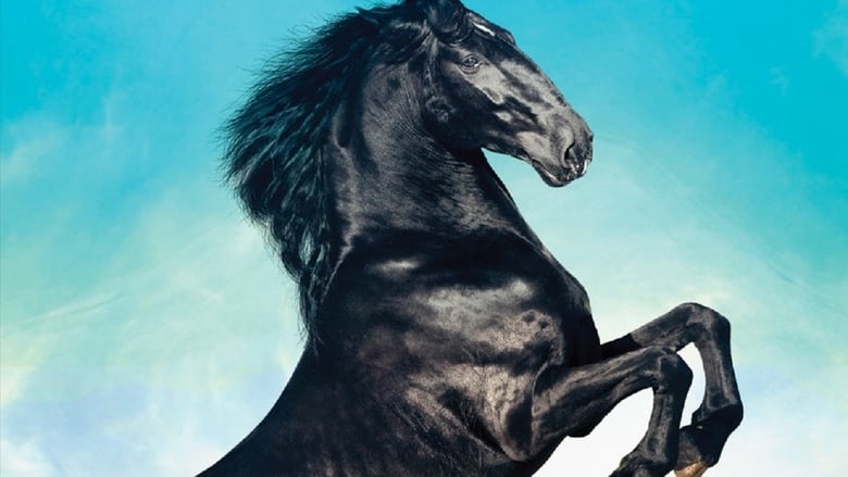 Voir Black Beauty en streaming vf gratuit sur StreamizSeries.com site special Films streaming