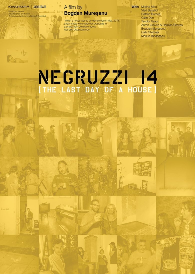 Negruzzi 14 main poster