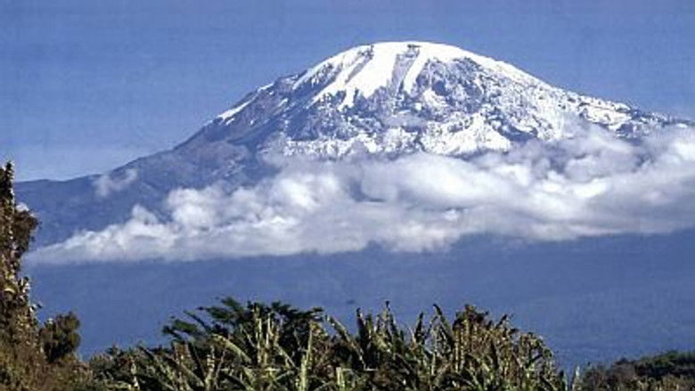Volcano Above the Clouds