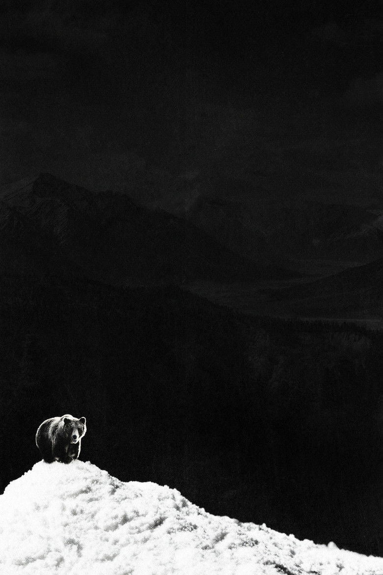 Imatge de Cocaine Bear