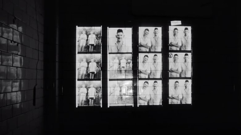 Roger Ballen - A Good Picture Comes from Nowhere movie poster