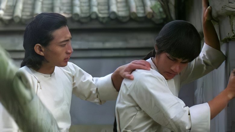 Regarder Invincible Kung Fu Brothers complet