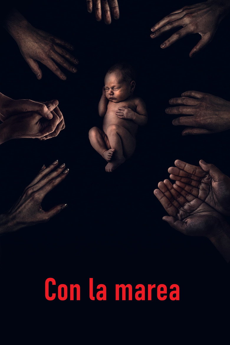 Póster la Película