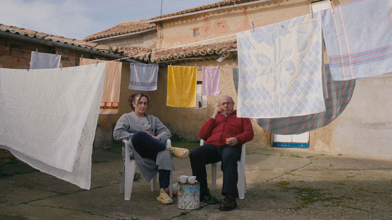 Gallery image from sos8IRUng8MH7kO7ICmjShlID3c.jpg