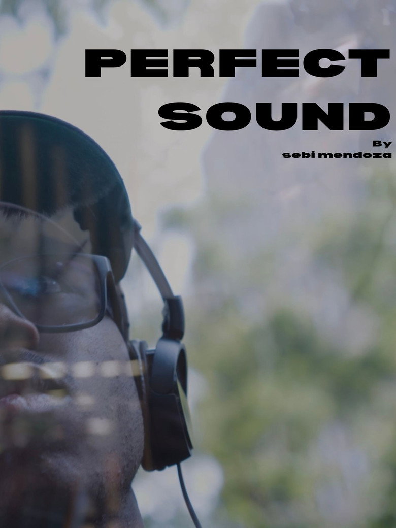 Imatge de Perfect Sound