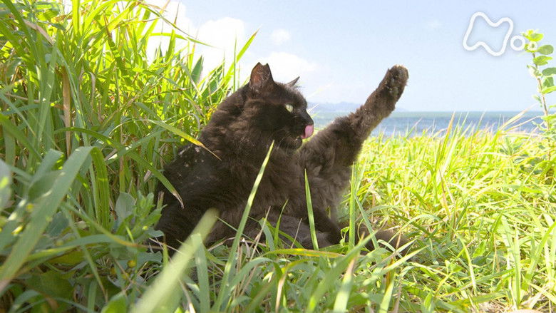 Still image for Mitsuaki Iwago's World “Cats” Travelogue season 1 episode 87: Boso and Chiba Still image for Mitsuaki Iwago's World “Cats” Travelogue season 1 episode 87: Boso and Chiba