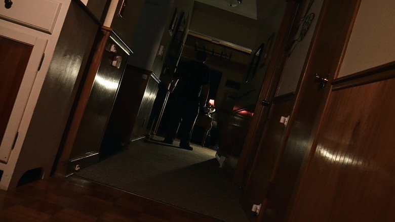 Imatge de The Visitor