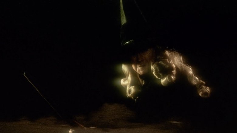 Wild at Heart (1990)