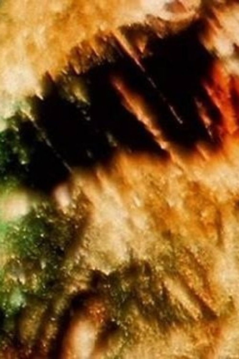 Imatge de Elementary Phrases