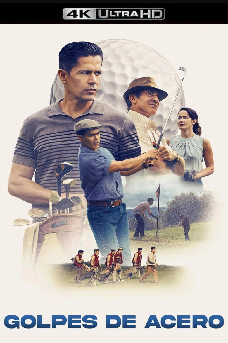 Póster la Película