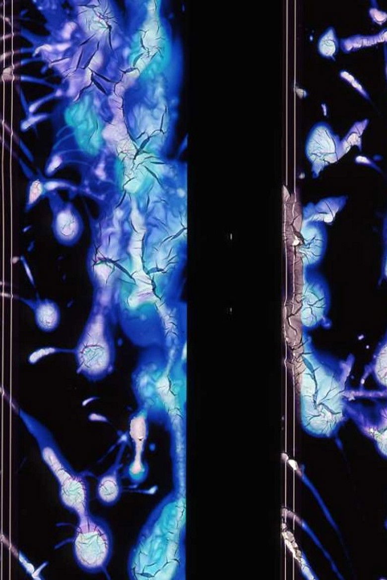 Imatge de 균열의 몫