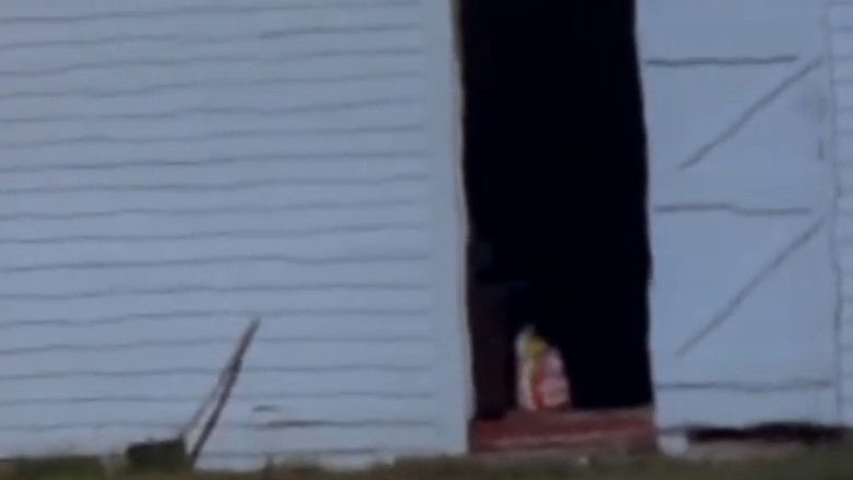 Gallery image from srLUwPI05bgRuNIvaaqWtiYrSaX.jpg