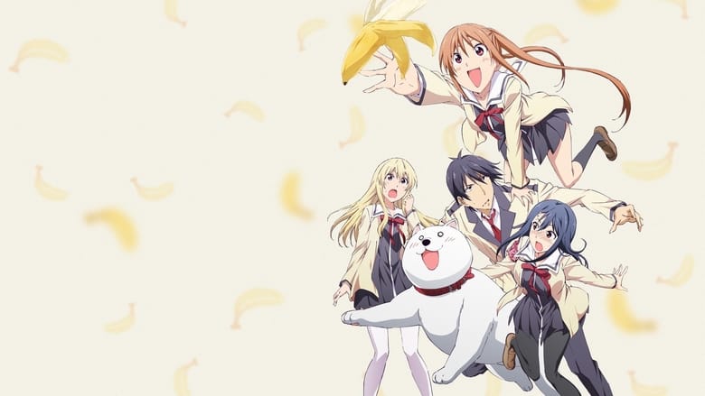 AHO GIRL