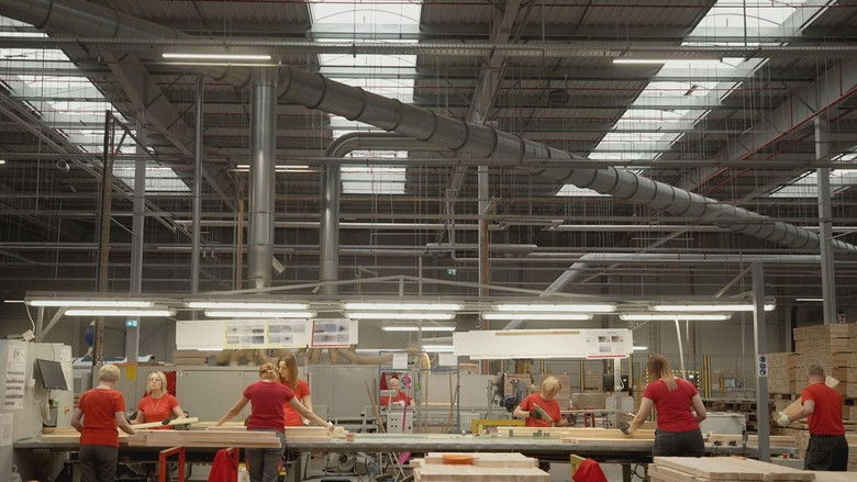 Imatge de Ikea: El saqueig dels boscos