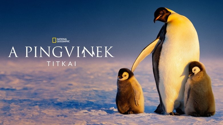 Gallery image from st4QCqo5pvsENtSCbThu24UG0mv.jpg